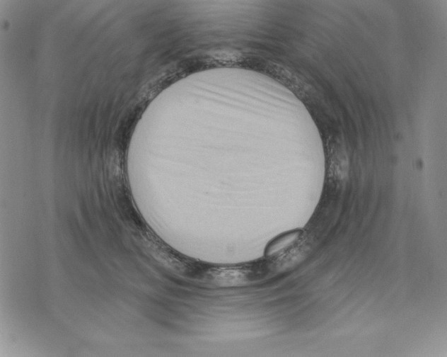 X0000075830518200610151523