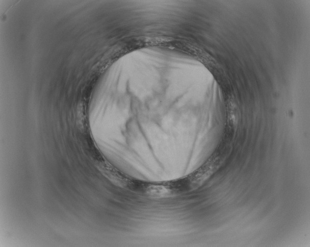 X0000075830519200610151523