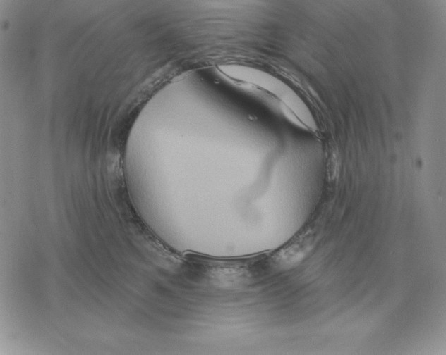 X0000075830521200610151523