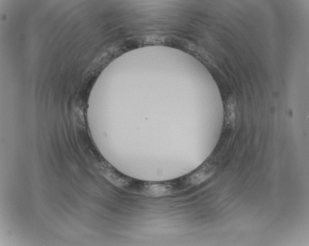 X0000075830522200610151523