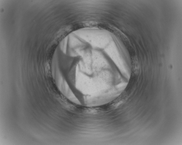 X0000075830523200610151523