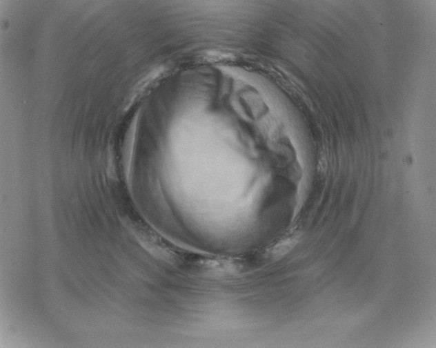 X0000075830524200610151523