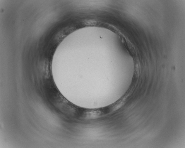 X0000075830525200610151523