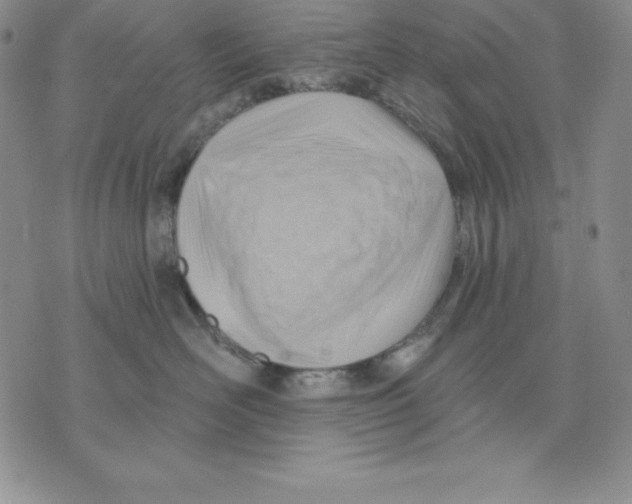 X0000075830526200610151523