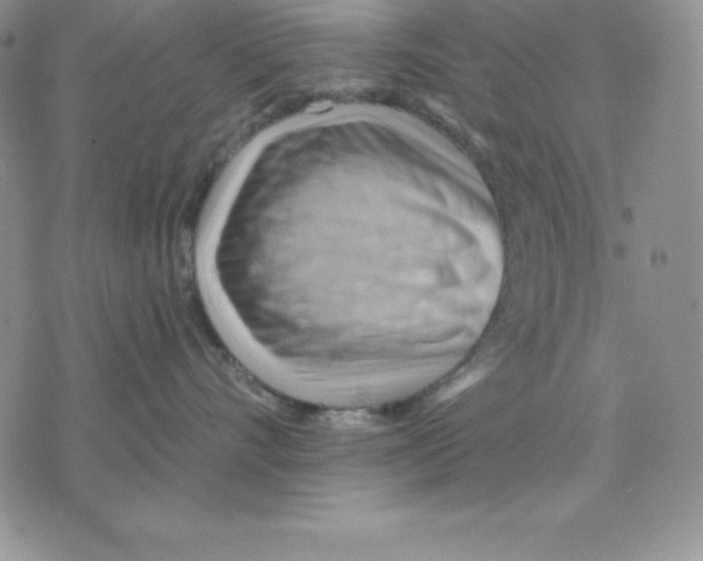 X0000075830528200610151523