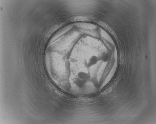 X0000075830529200610151522