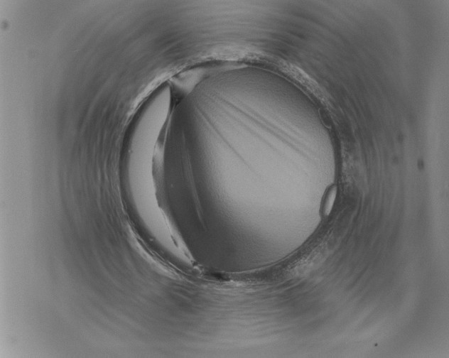 X0000075830530200610151522