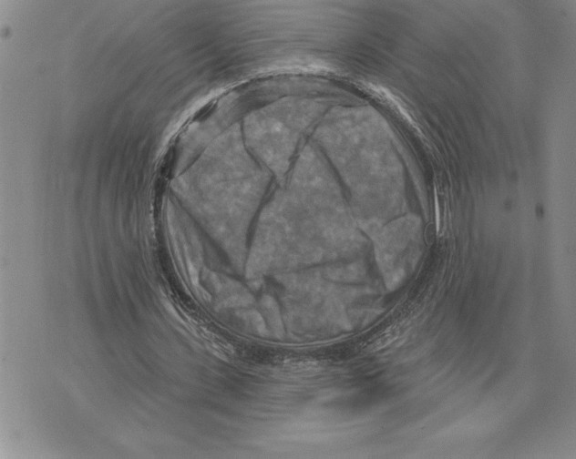 X0000075830531200610151522