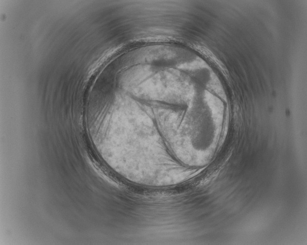 X0000075830533200610151522