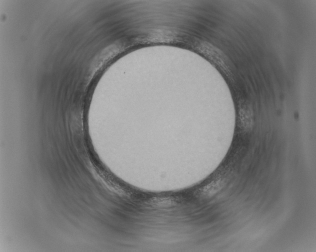 X0000075830534200610151522