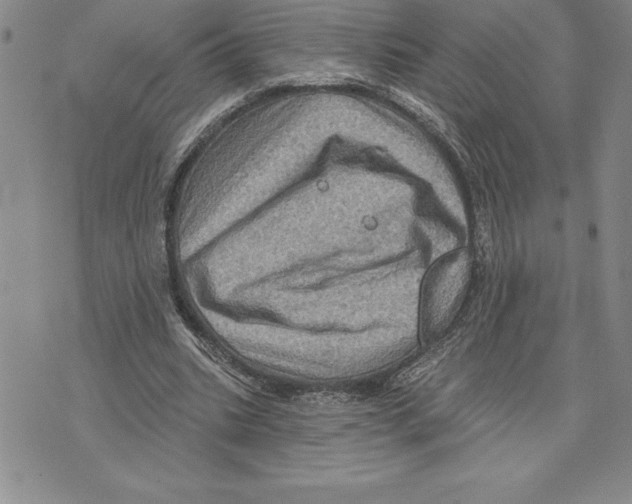 X0000075830535200610151522