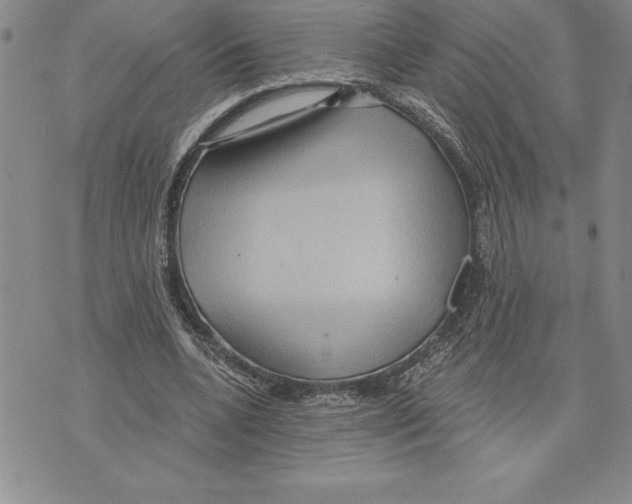 X0000075830536200610151522