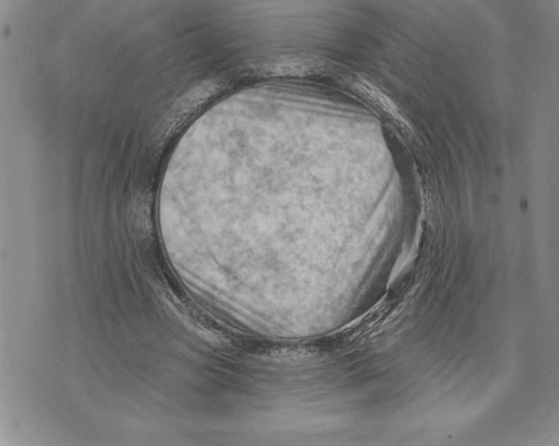 X0000075830537200610151522