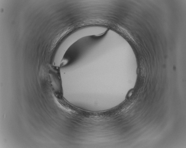 X0000075830538200610151522