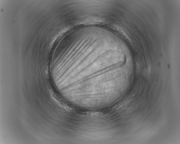 X0000075830539200610151522