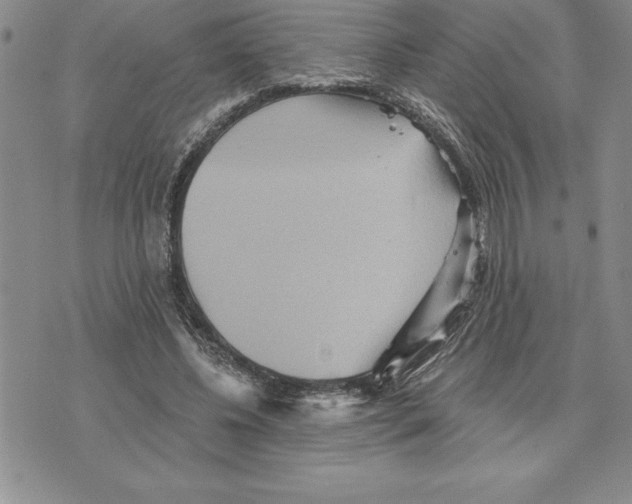 X0000075830540200610151522