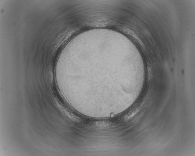 X0000075830541200610151522