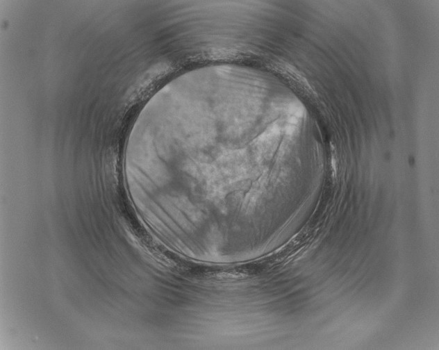 X0000075830542200610151522