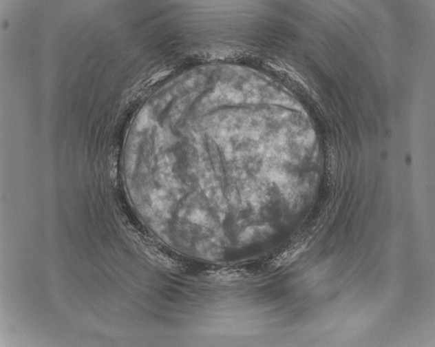 X0000075830545200610151522