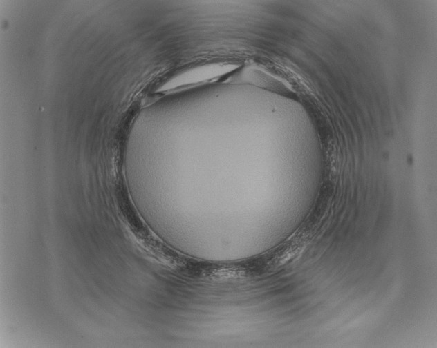 X0000075830546200610151522