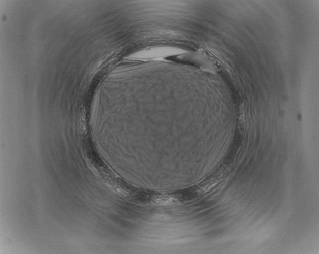 X0000075830547200610151522