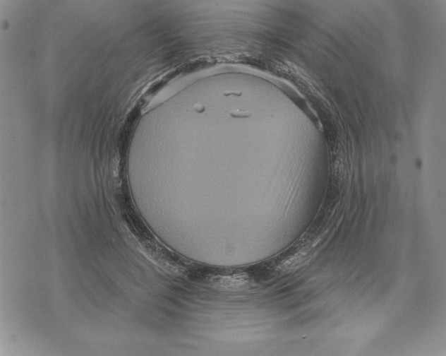 X0000075830548200610151522