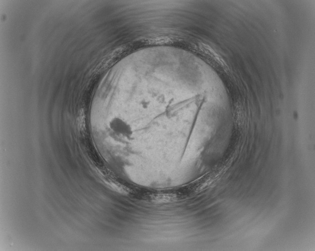 X0000075830549200610151522