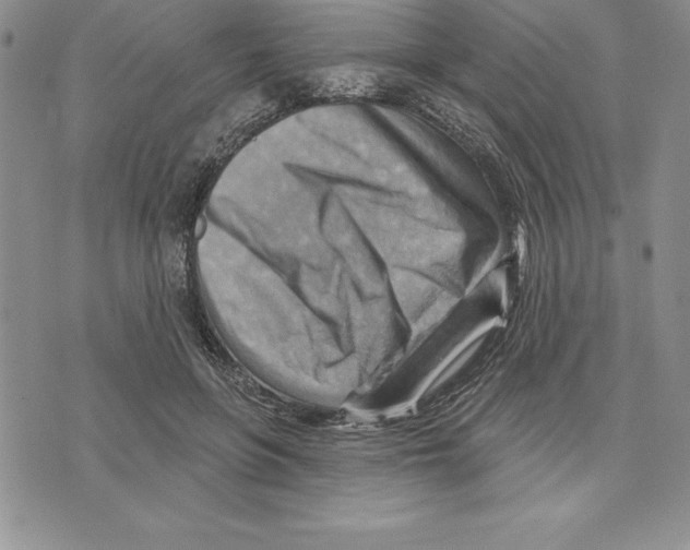 X0000075830551200610151522