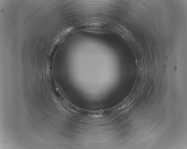 X0000075830552200610151522