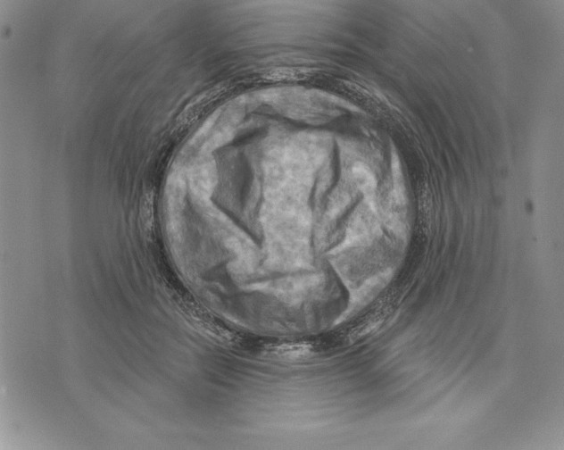 X0000075830554200610151522