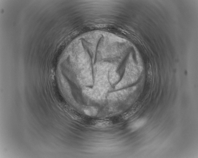 X0000075830555200610151522