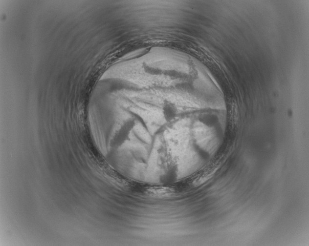 X0000075830557200610151522