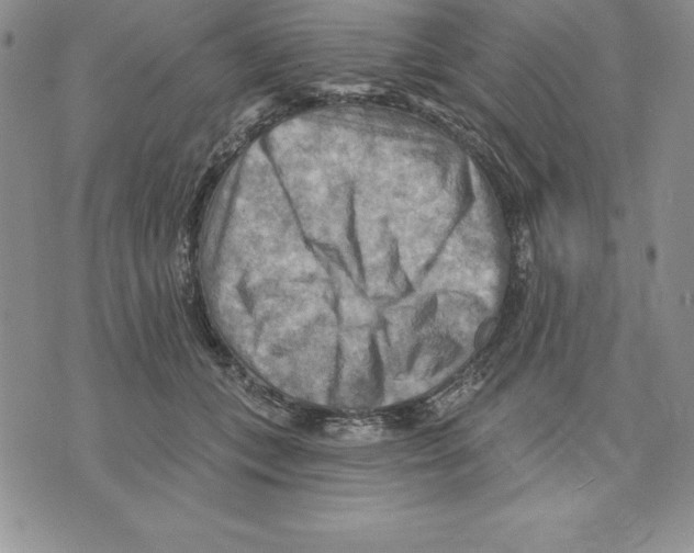 X0000075830559200610151523