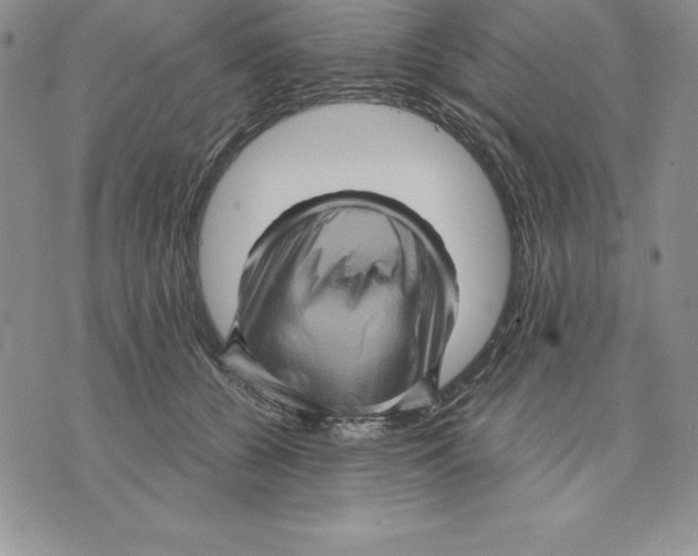 X0000075830560200610151523