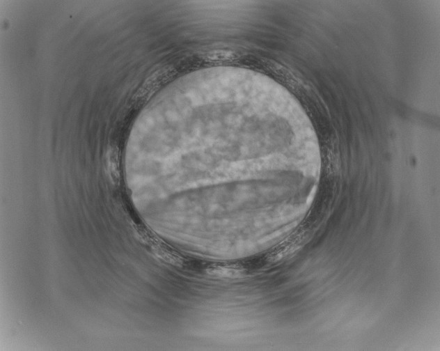 X0000075830561200610151523