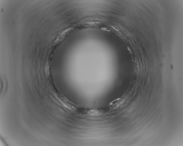 X0000075830562200610151523