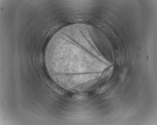 X0000075830563200610151523