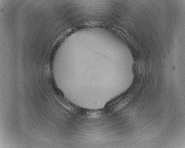 X0000075830564200610151523