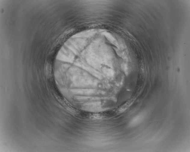 X0000075830565200610151523