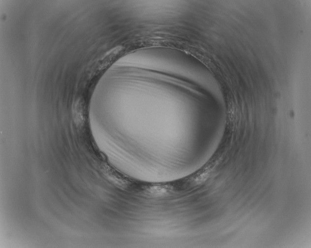 X0000075830566200610151523