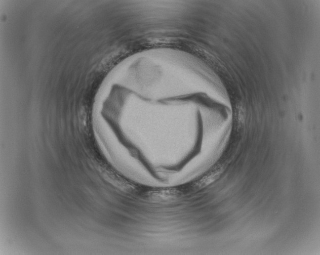 X0000075830567200610151523