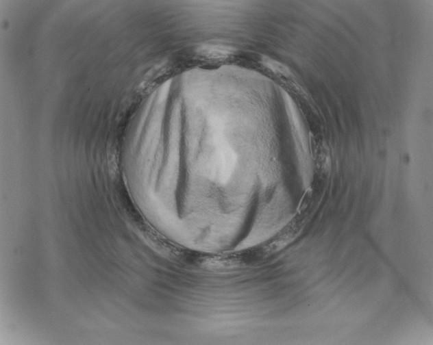 X0000075830568200610151523