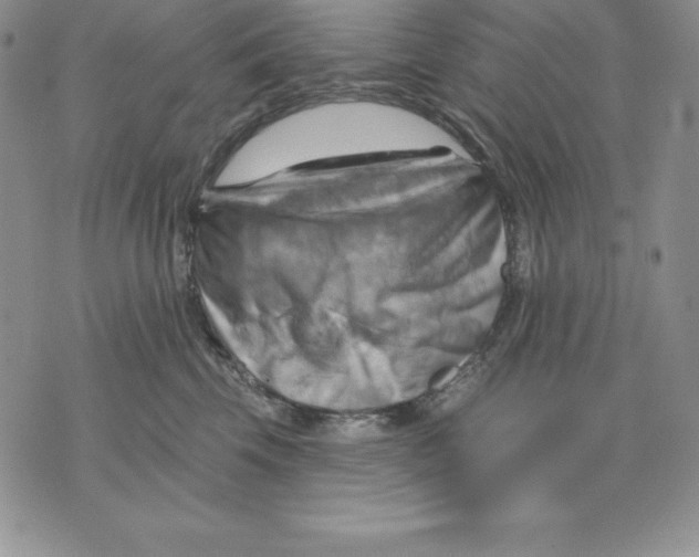 X0000075830569200610151523