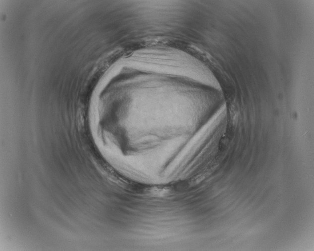 X0000075830570200610151523