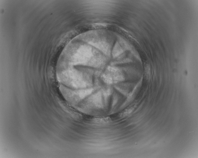 X0000075830571200610151523