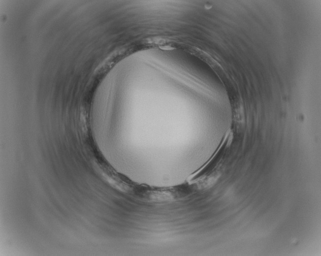 X0000075830572200610151523