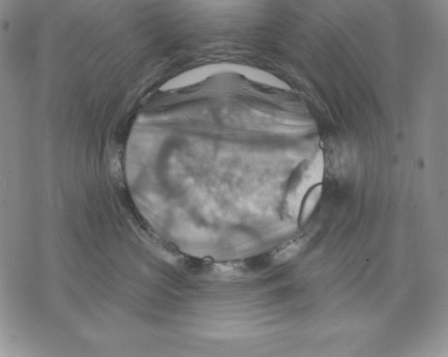 X0000075830573200610151523