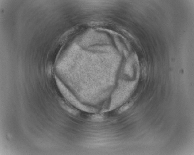 X0000075830574200610151523