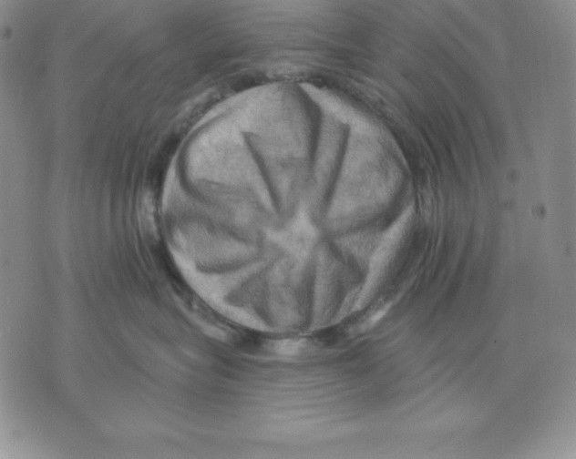 X0000075830575200610151523