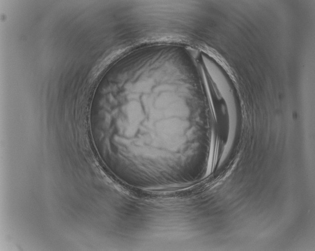 X0000075830577200610151522